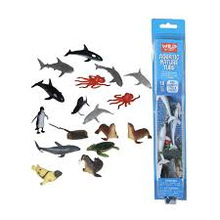 Aquatic Wonders