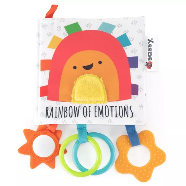 Rainbow of Emotions Book