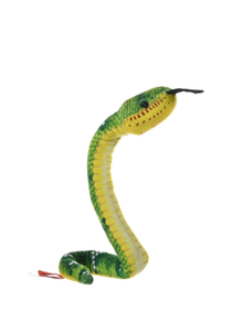 Coilkins Emerald Tree Boa