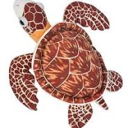 Mini Hawksbill Sea Turtle