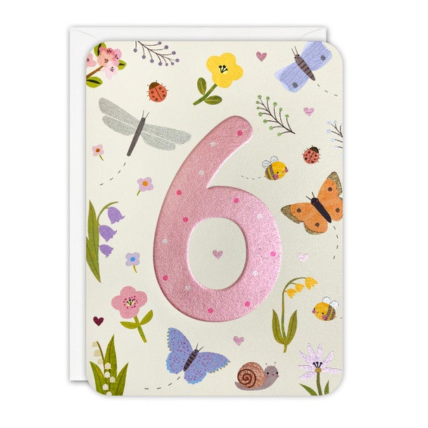 Happy Birthday/6th Butterflies