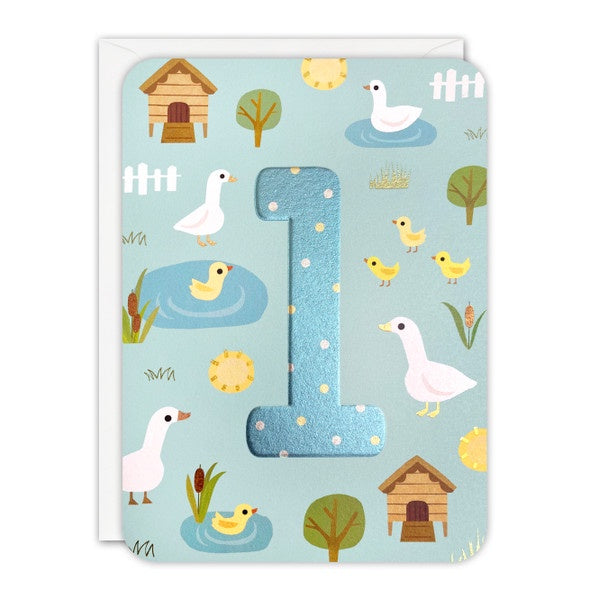 Happy Birthday/1st Ducks
