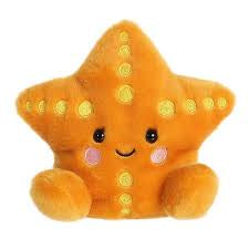 Treasure Starfish
