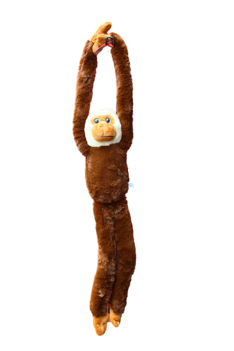 Hanging Monkey - assorted