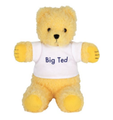 Big Ted Beanie Soft Toy