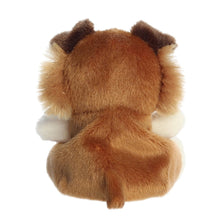 Fia Sheltie