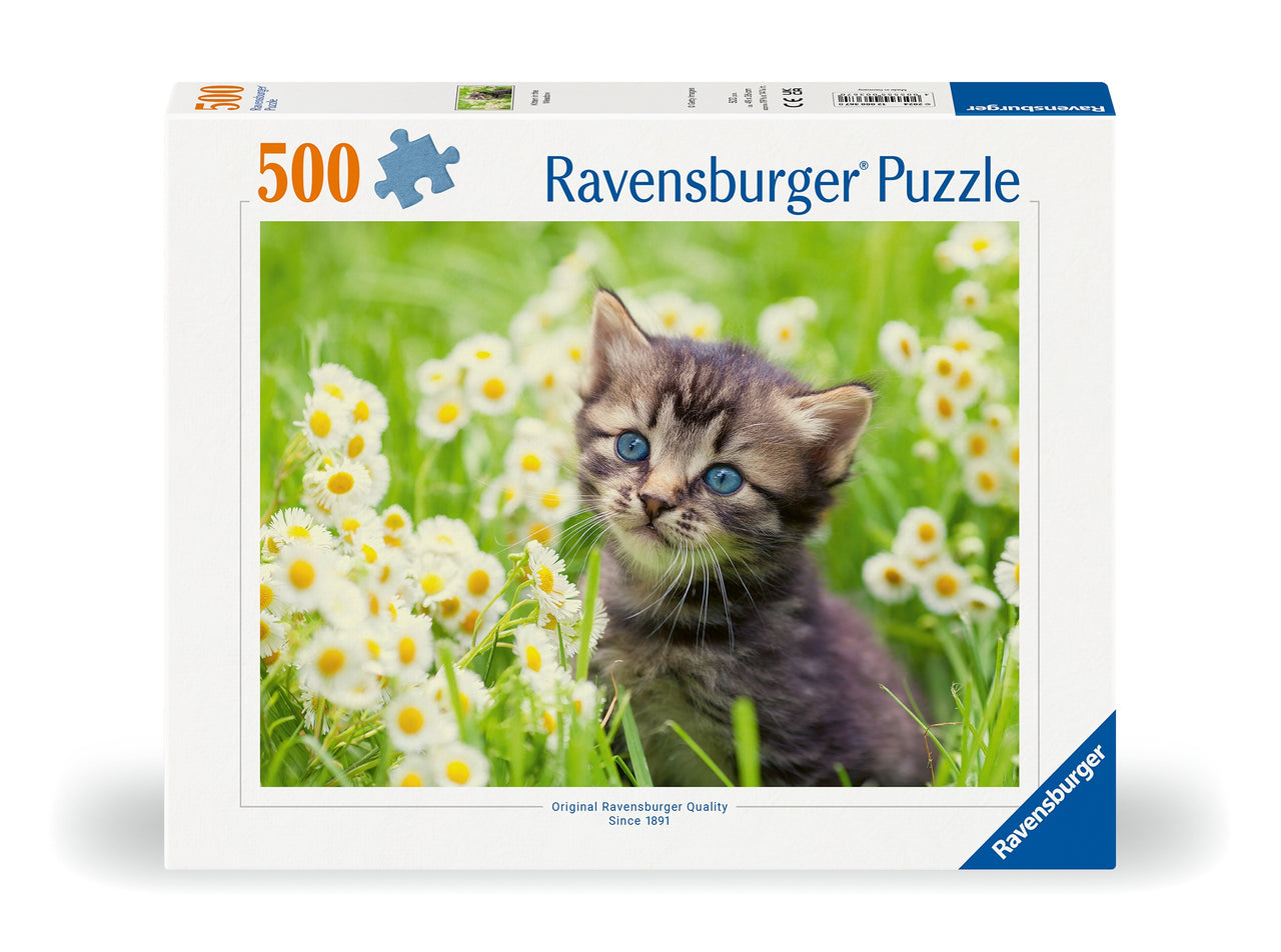 500 pc Puzzle - Kitten in the Meadow