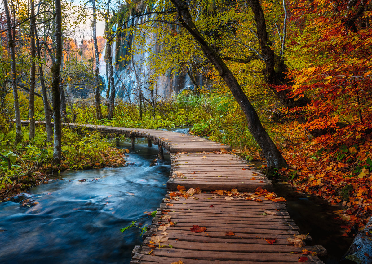 1000 pc Puzzle - Autumnal Wood Trail (Beautiful Walkways)