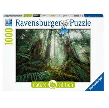 1000 pc Puzzle - In The Forest