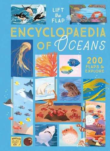 Encyclopaedia Of Oceans