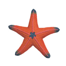 Colour-changing Starfish