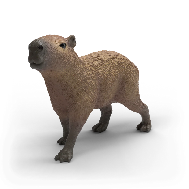 Capybara