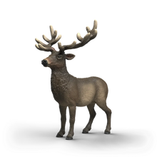 Elk
