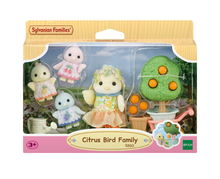 Citrus Bird Family