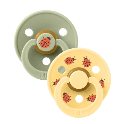 Bibs Pacifier - Studio Urban Garden Collection - Size 2 (6 - 18 Months)