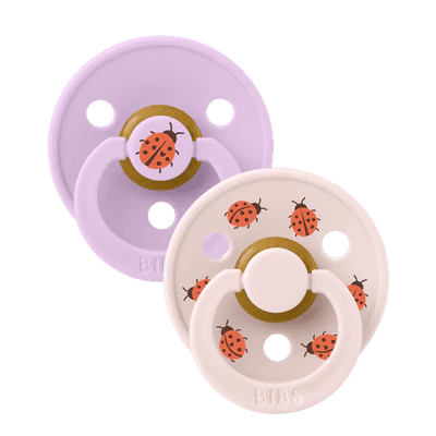Bibs Pacifier - Studio Urban Garden Collection - Size 2 (6 - 18 Months)