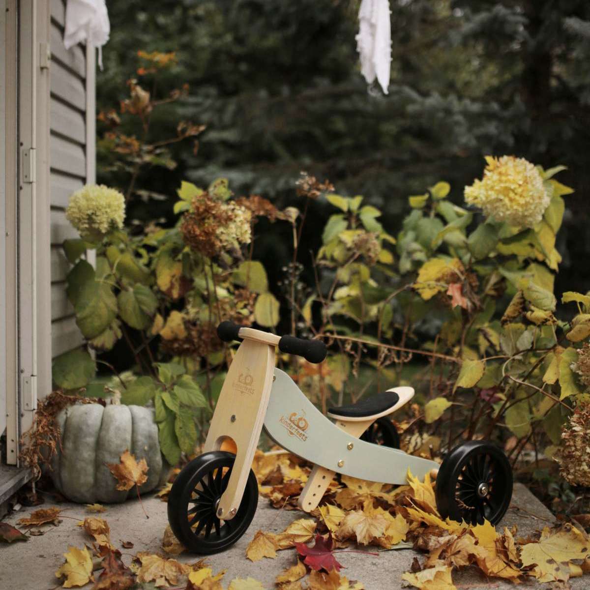 Kinderfeets Tiny Tot PLUS 2 in 1 Balance Bike - Silver Sage