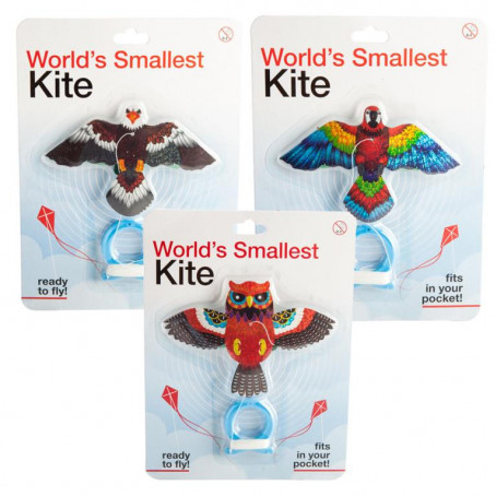 World's Smallest Kite