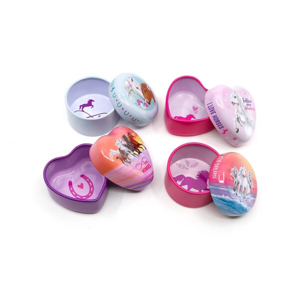 Miss Melody Tooth Fairy Tin