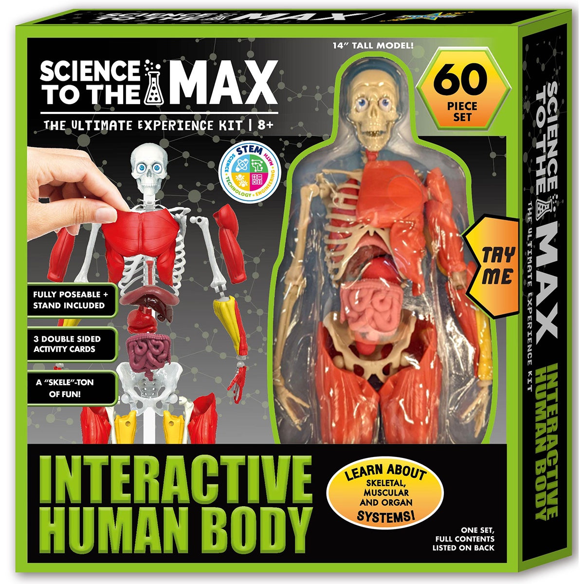 Interactive Human Body - 60 piece set