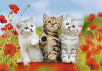2 x 12 pc Puzzle - Kitten  Adventures