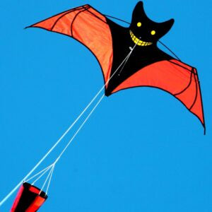 Batty Kite