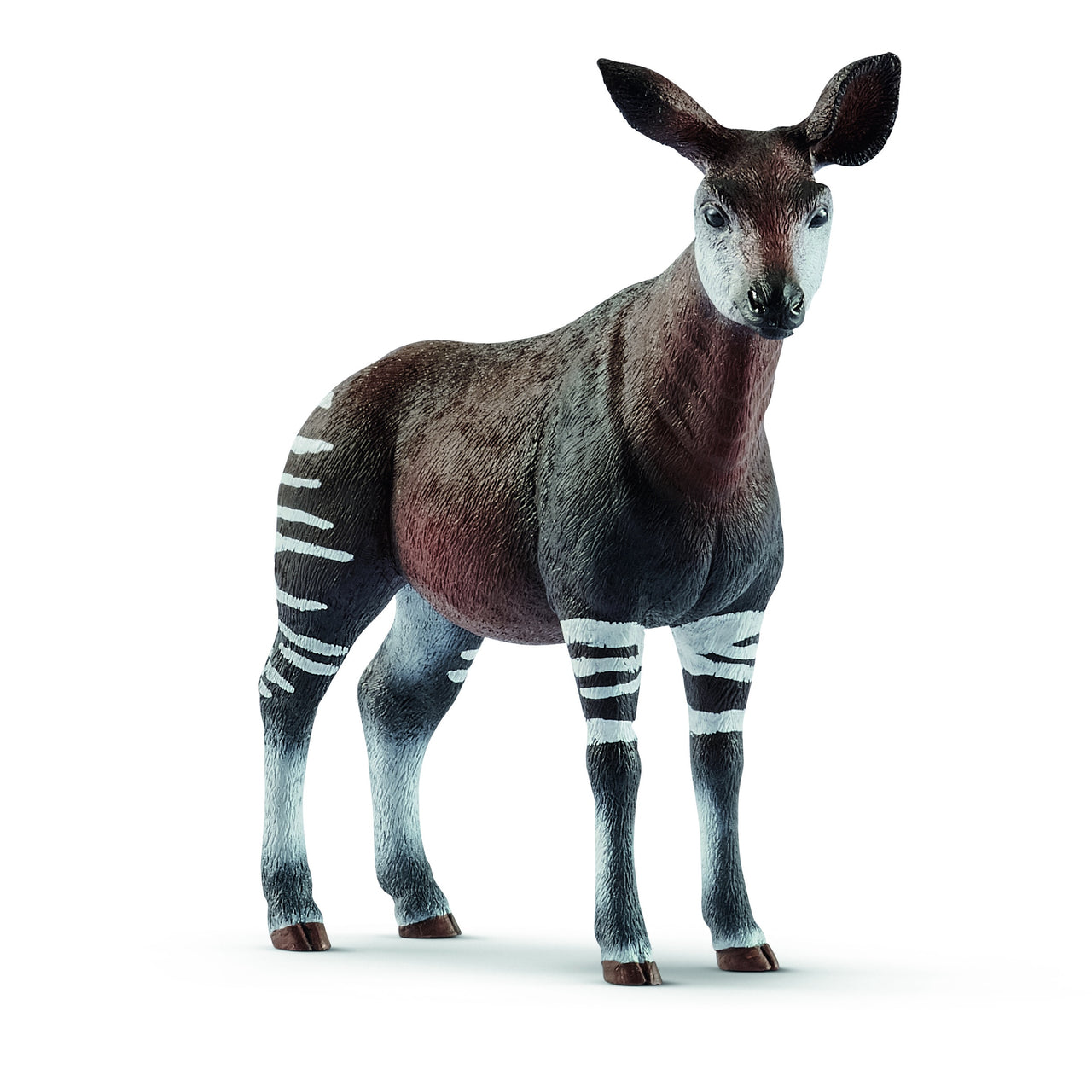 Okapi