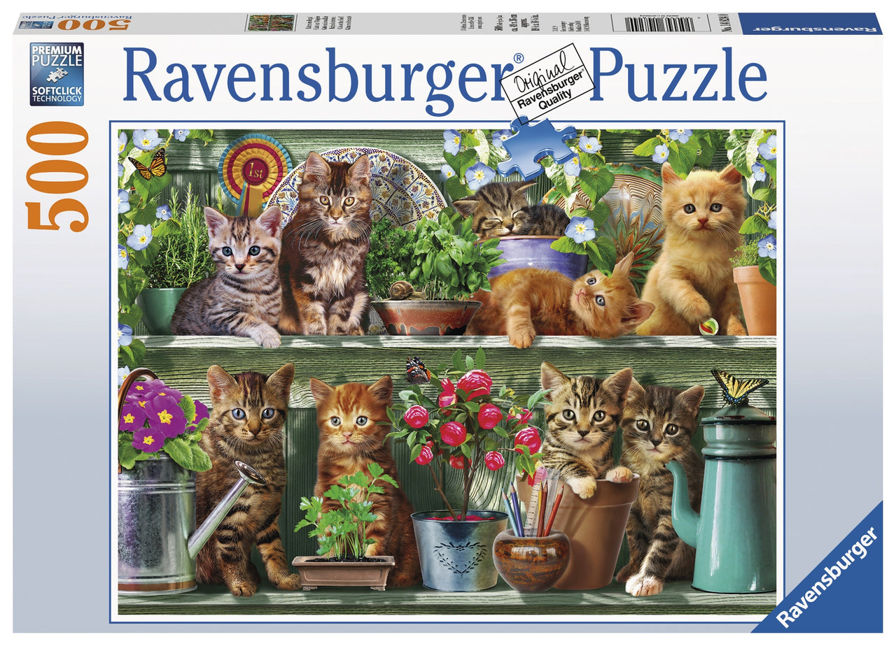 500 pc Puzzle - Cats on a shelf