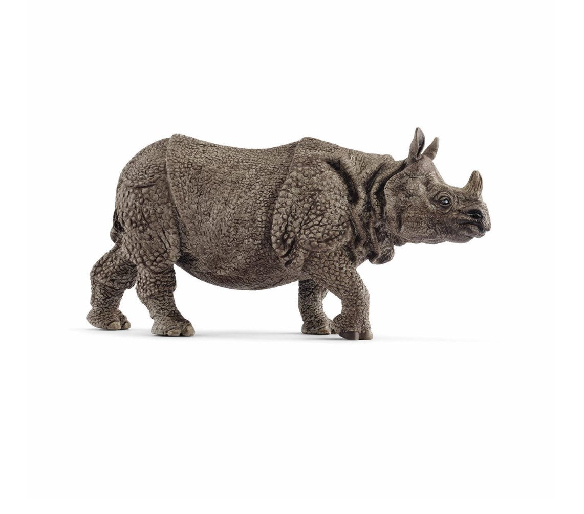 Indian Rhinoceros