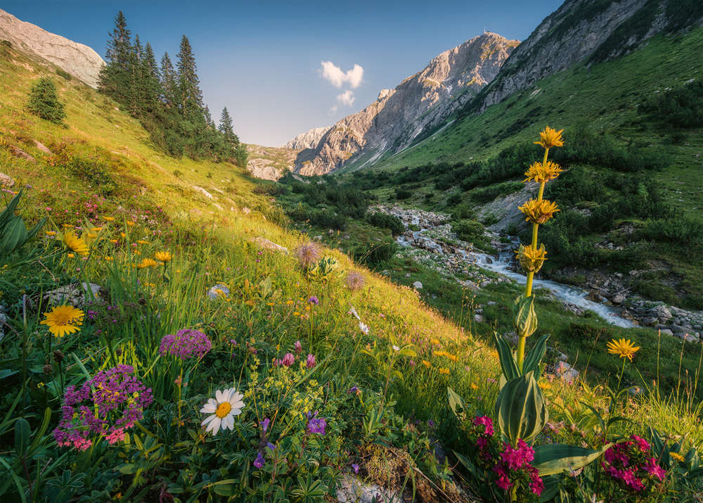 1000 pc Puzzle - Magical Valley