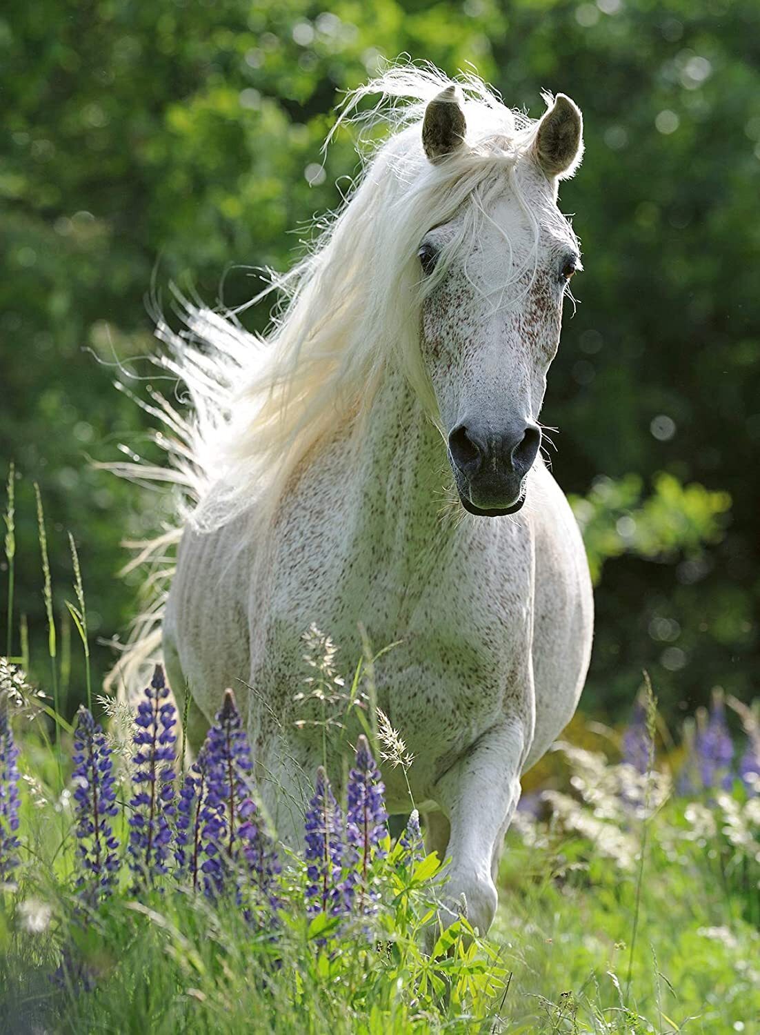 100 pc Puzzle - Horse in flowers