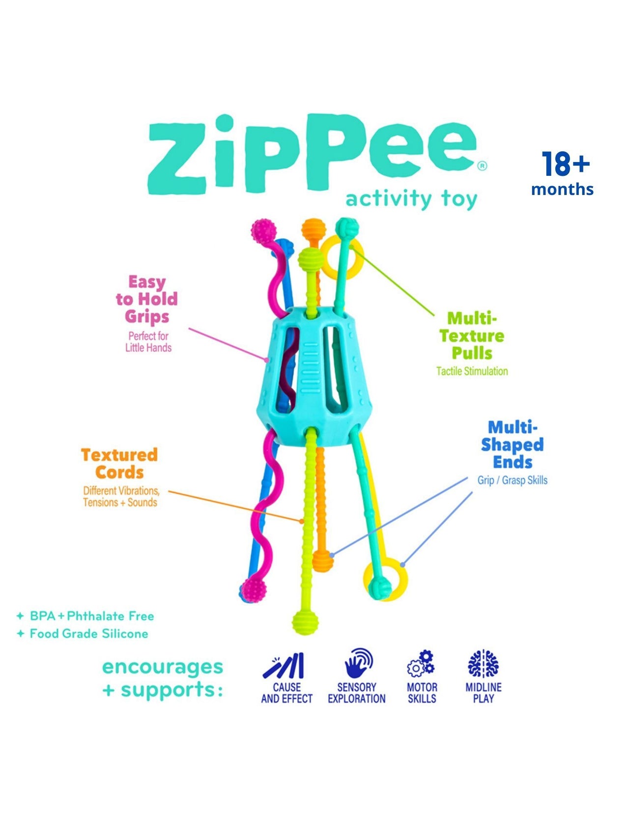 Zippee Activity Toy