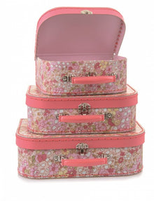 Sophie Case Set - 3pc