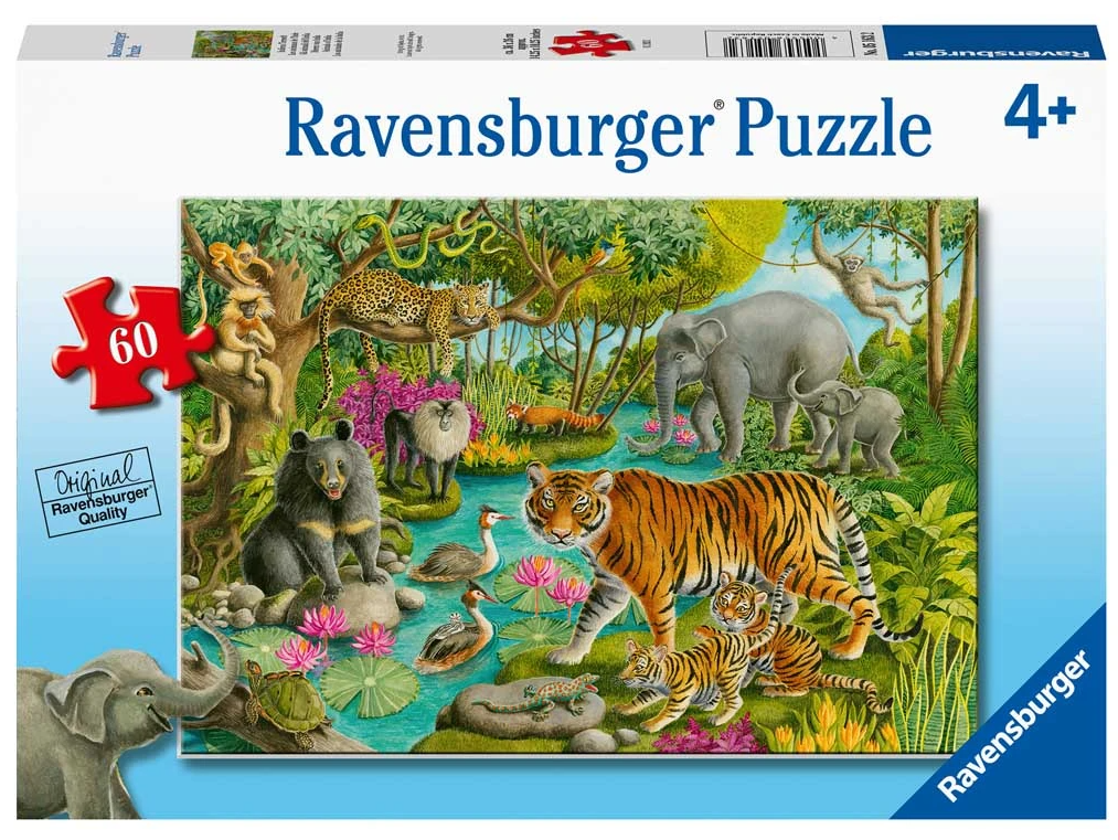 60 pc Puzzle - Animals of India