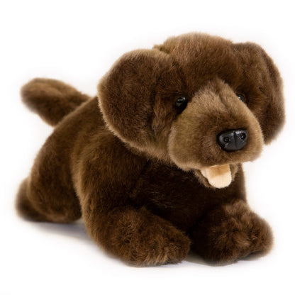 Bocchetta Dog Plush