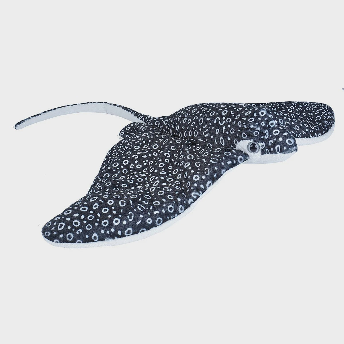 Eagle Ray