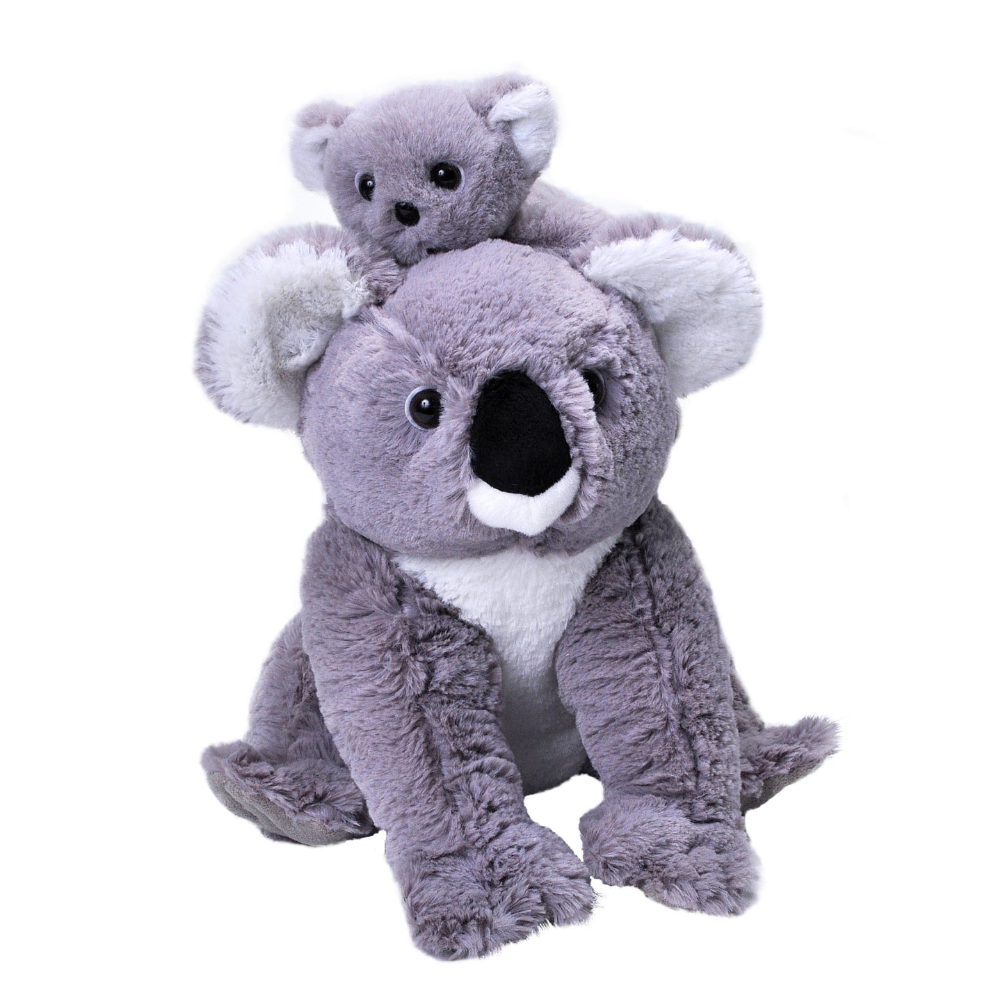 Mom and Baby Koala