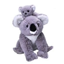 Mom and Baby Koala