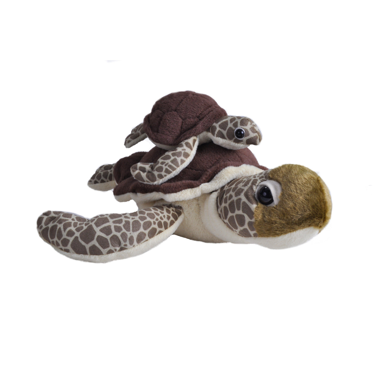 Mom and Baby Sea Turtle