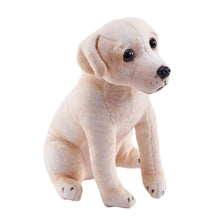 Rescue Dogs Yellow Labrador With Sound