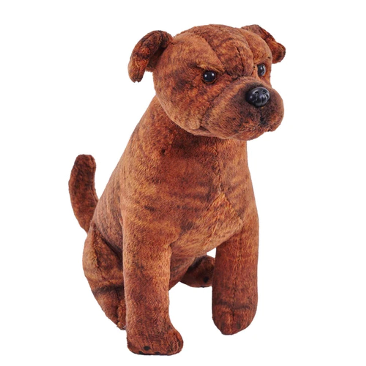 Rescue Dogs Staffodshire Bull Terrier With Sound