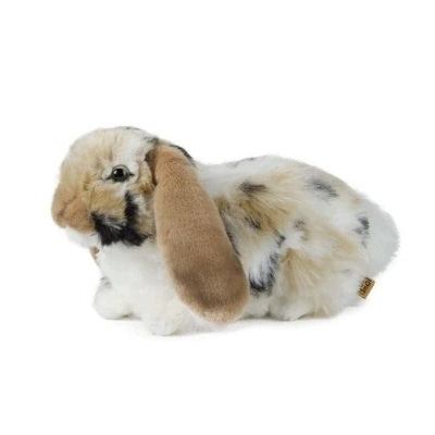 Brown Dutch Lop Ear Rabbit 30cm