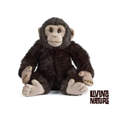 Chimp 30cm