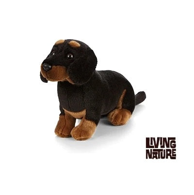 Dachshund 20cm