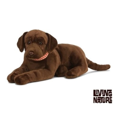 Giant Chocolate Labrador 60cm