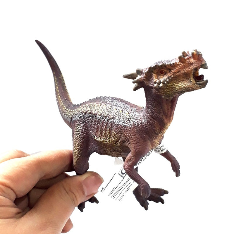 Dracorex