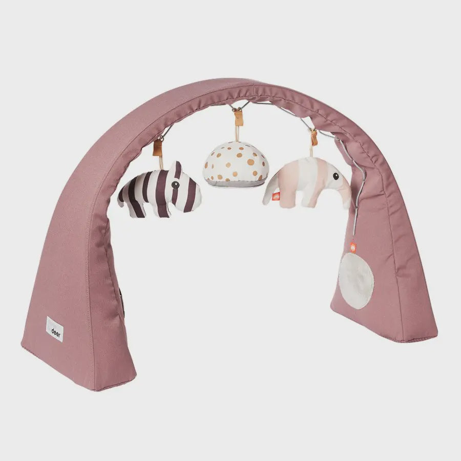 Activity Gym Free Standing