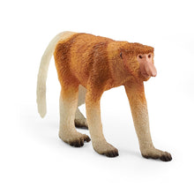 Proboscis Monkey