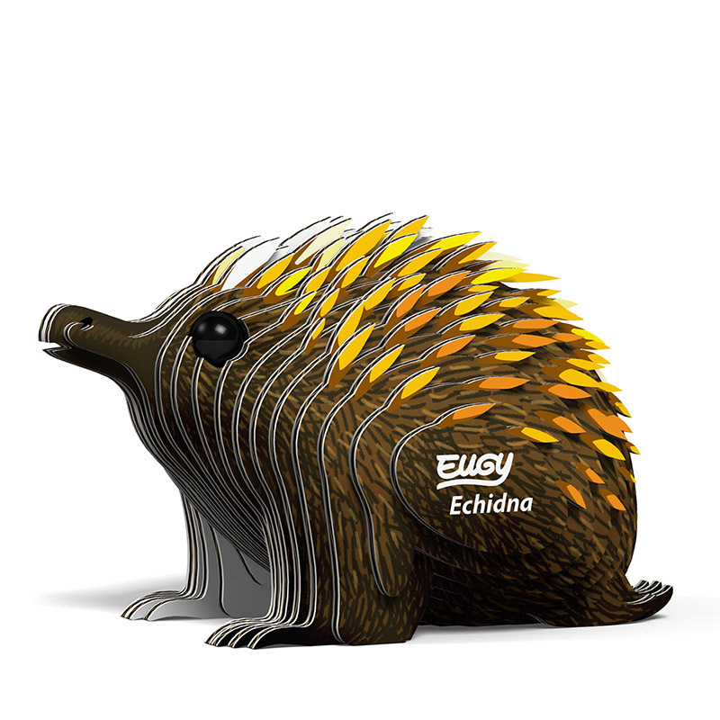 3D Cardboard Model Kit - Echidna