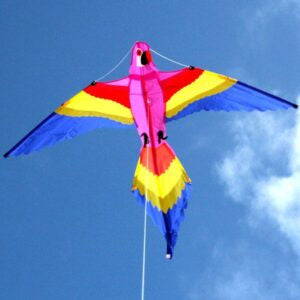 Lorikeet Kite